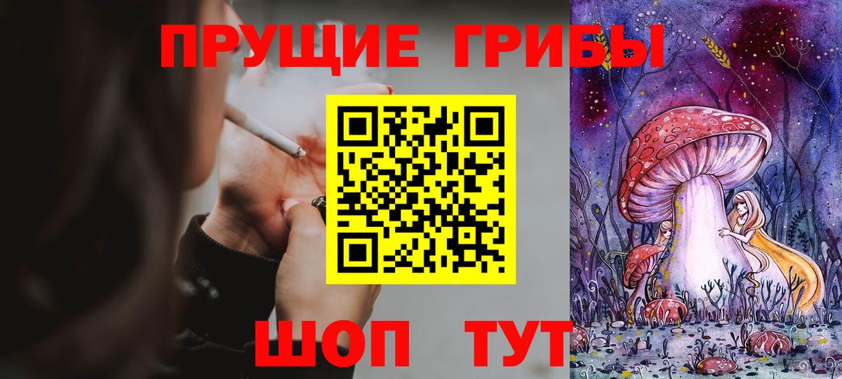 Галлюциногенные грибы Psilocybe Ликино-Дулёво