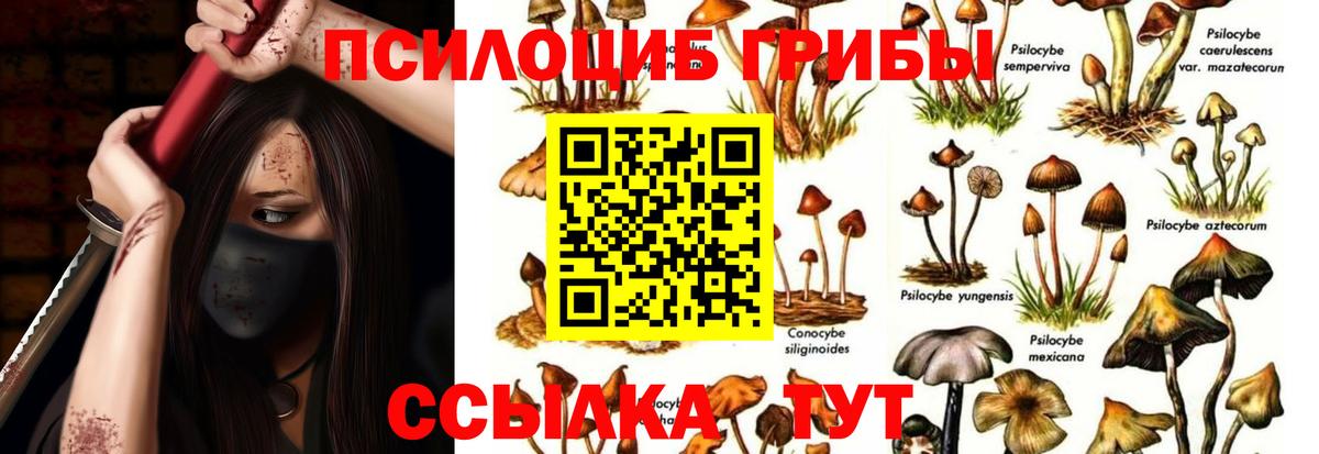 Псилоцибиновые грибы GOLDEN TEACHER  Вход с VPN  Ликино-Дулёво  Галлюциногенные грибы Psilocybine cubensis 